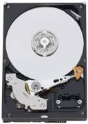 Western Digital AV-GP 500GB (WD5000AVDS)