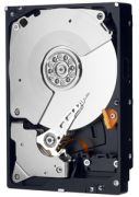Western Digital WD Black 500GB (WD5003AZEX)