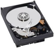 Western Digital Caviar Black 640GB (WD6401AALS) Western Digital Caviar Black 640GB (WD6401AALS)