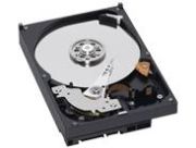 Western Digital Caviar Blue 1TB (WD10EALS)