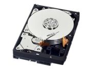 Western Digital WD Blue 1TB (WD10EZEX)
