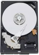 Western Digital Caviar Blue 750GB (WD7500AALX) Western Digital Caviar Blue 750GB (WD7500AALX)