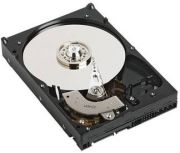 Western Digital Caviar Blue 200GB (WD2000JS)