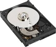 Western Digital RE2 500GB (WD5001ABYS) Western Digital RE2 500GB (WD5001ABYS)