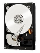 Western Digital Se 4TB (WD4000F9YZ)