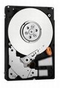 Western Digital VelociRaptor 300GB (WD3000HLHX)