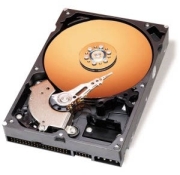 Western Digital Caviar Blue 320GB (WD3200JB)
