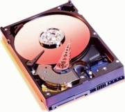 Western Digital Caviar Blue 250GB (WD2500JS)