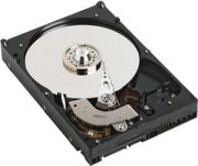 Western Digital Caviar Blue 400GB (WD4000AAJS) Western Digital Caviar Blue 400GB (WD4000AAJS)