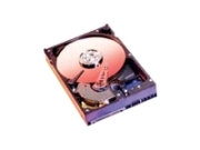 Western Digital Caviar Blue 40GB (WD400JD) Western Digital Caviar Blue 40GB (WD400JD)