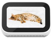 Xiaomi Mi Smart Clock