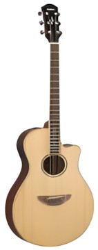 Yamaha APX 600
