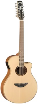 Yamaha APX700II-12
