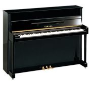 Yamaha B2 PE