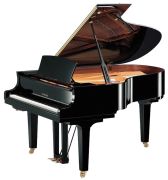 Yamaha C3X TA2