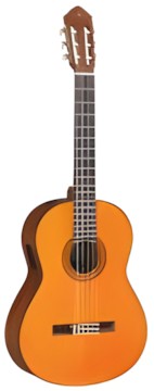 Yamaha CGX102