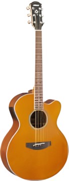 Yamaha CPX700II