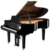Yamaha D C5X Enspire Pro