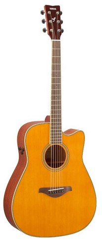 Yamaha FGC-TA