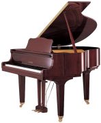 Yamaha GB1 PM
