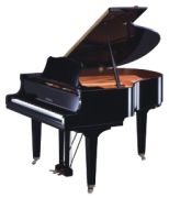 Yamaha GC 1