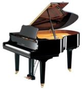 Yamaha GC2