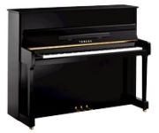 Yamaha P116