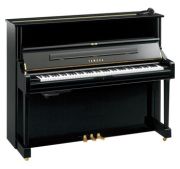 Yamaha U1 SH