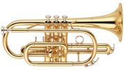 Yamaha YCR-6330 II
