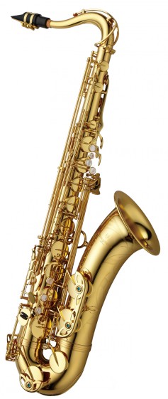 Yanagisawa T-WO1